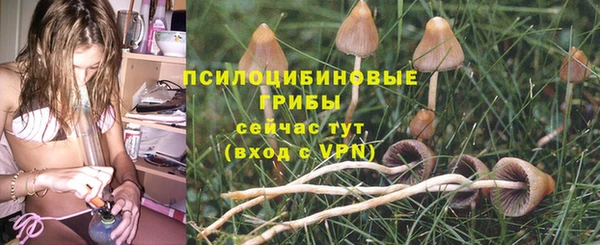 синтетический гашиш Богородск