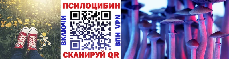 hydra ONION  Реж  даркнет клад  Псилоцибиновые грибы мухоморы 